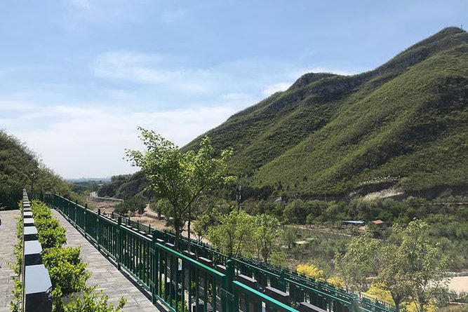 园区环境 单穴墓
