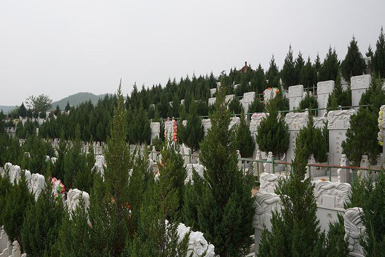 园区环境 艺术碑